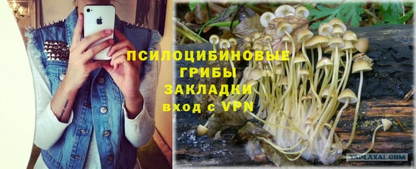 соль курить ск Вязьма